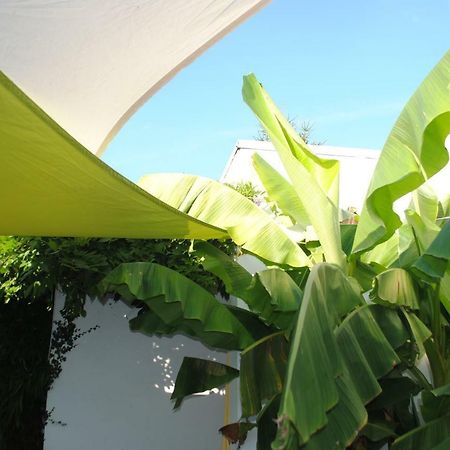 Chambres D'Hotes La Tribu Quévreville-la-Poterie Kültér fotó