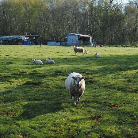 Chambres D'Hotes La Tribu Quévreville-la-Poterie Kültér fotó