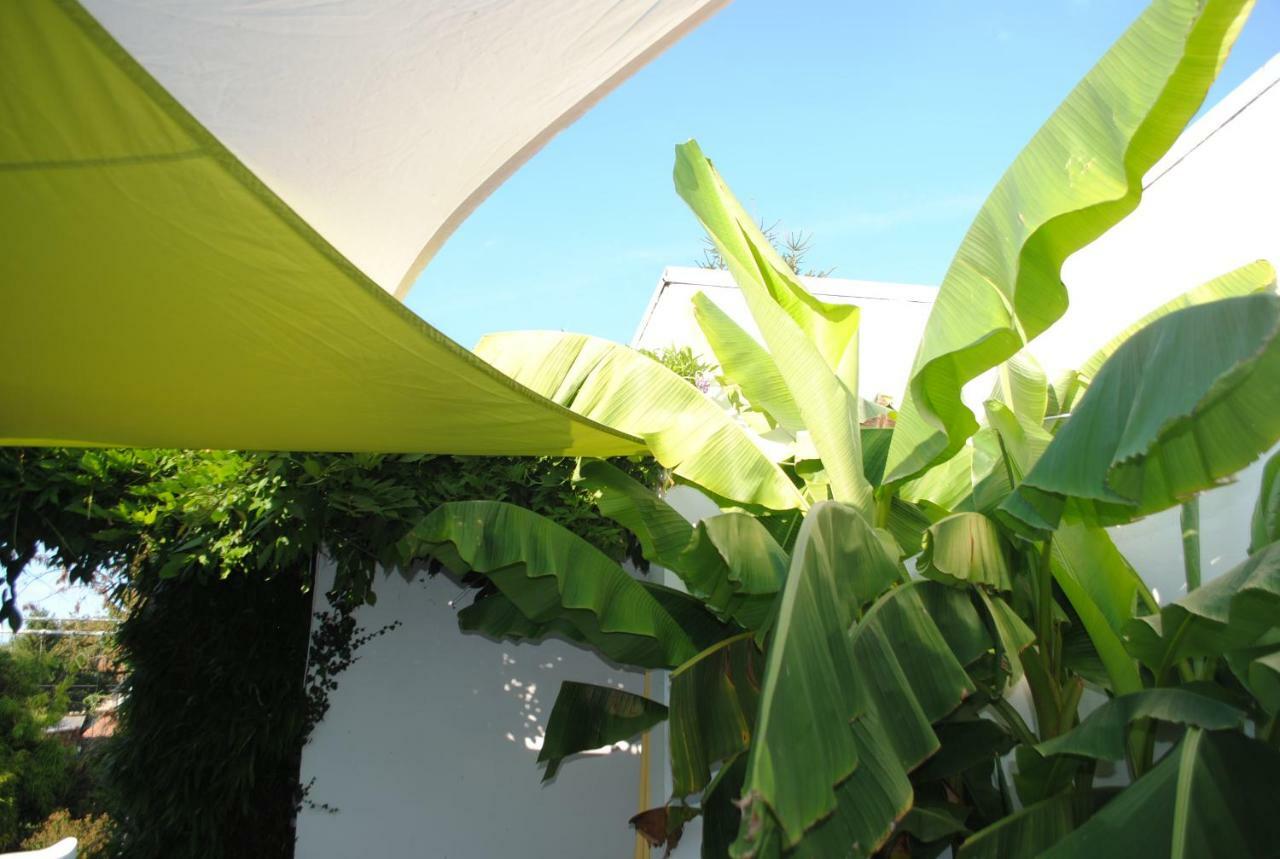 Chambres D'Hotes La Tribu Quévreville-la-Poterie Kültér fotó